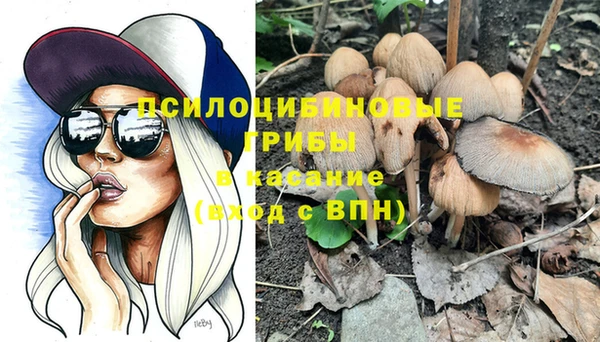 соль ск Покачи