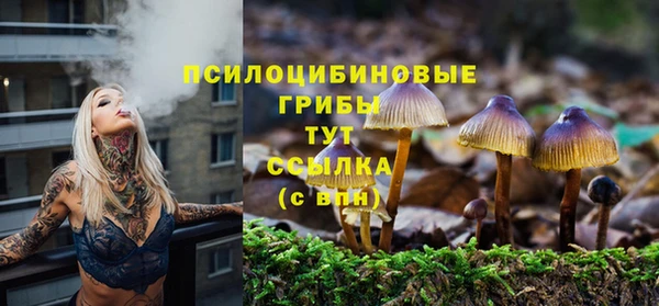 соль ск Покачи