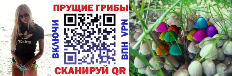 Псилоцибиновые грибы ЛСД  хочу наркоту  Бабаево 